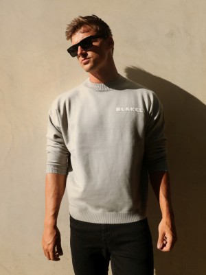 Blakely Blakely Knitted Jumper Grises Claro | 764ZWMTPQ