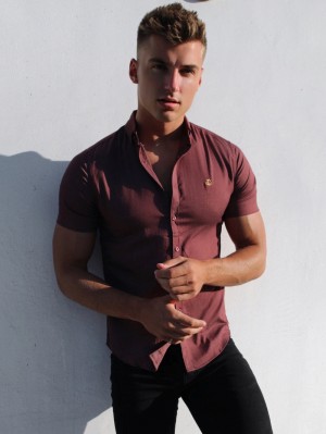 Blakely Brisbane Short Sleeve Shirt Vino | 067GPETMC