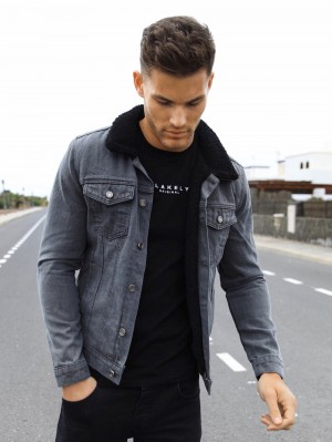 Blakely Daytona Denim Jacket Grises | 231KHPFXE
