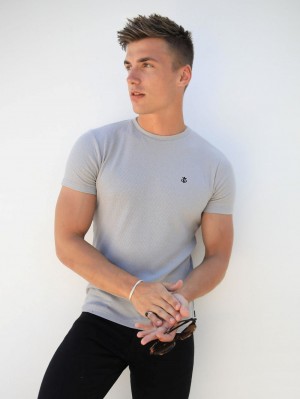 Blakely Eli T-Shirt Grises | 782SRIHPE