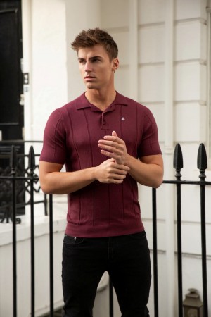 Blakely Finsbury Polo Shirt Vino | 029CAQEXJ