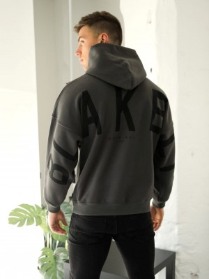 Blakely Idris Oversized Hoodie Ash | 308ZEJFMY