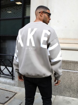 Blakely Idris Oversized Jumper Grises | 514PTCHJU