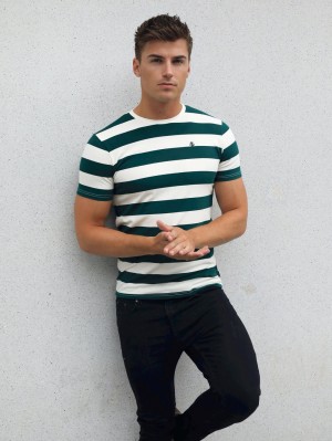 Blakely Loano Stripe T-Shirt Verdes | 706USWJQK