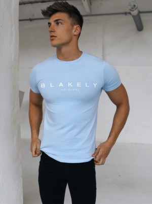 Blakely Ocean T-Shirt Azules Claro | 138BKTDFJ
