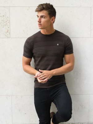 Blakely Raphello Stripe T-Shirt Marrom | 475FRPMGB