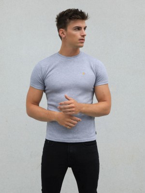 Blakely Recco T-Shirt Grises | 208JLIKOS