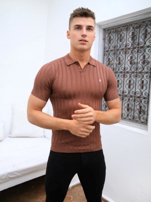 Blakely Sidi Textured Stripe Polo Marrom | 620AEBCKW