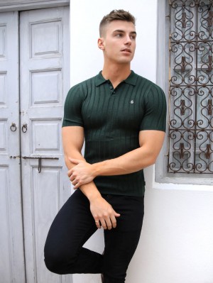 Blakely Sidi Textured Stripe Polo Verdes | 914RSXTMN