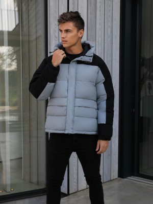 Blakely Tampa Puffer Coat Grises | 014OLZFAH