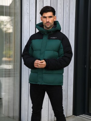 Blakely Tampa Puffer Coat Verdes | 521XCPDEU