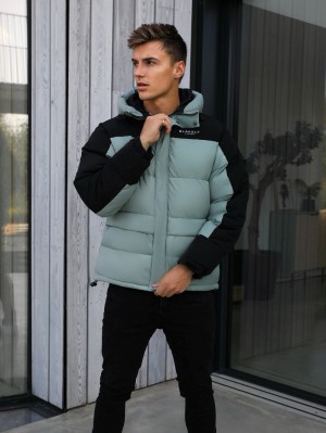 Blakely Tampa Puffer Coat Verdes | 932OHECMK