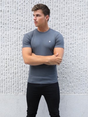 Blakely Torbora T-Shirt Grises | 948DRPQSW